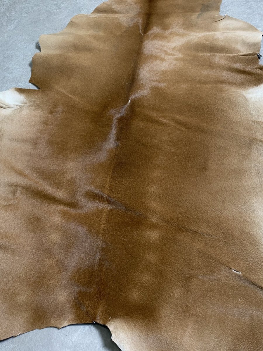 画像6: ヘアーカーフ　ベージュ　牛革毛付き　毛皮　 (6)