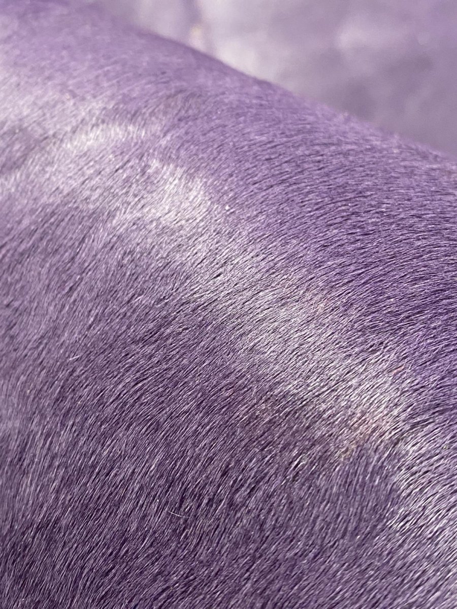 画像8: ヘアーカーフ パープル 毛皮 牛革 牛カーフ毛付き (8)