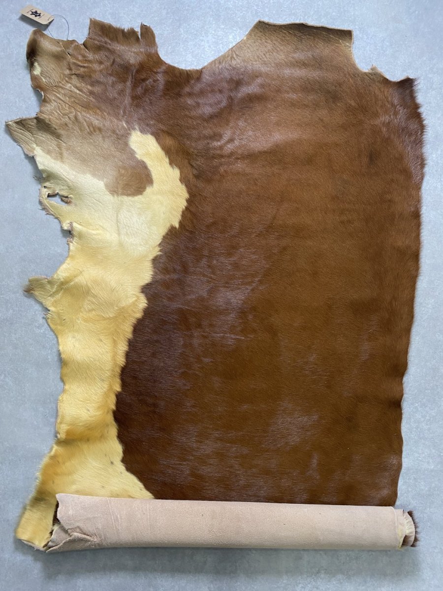 画像1: 牛 ヘアーカウ　柄あり　ベージュ×茶 (1)