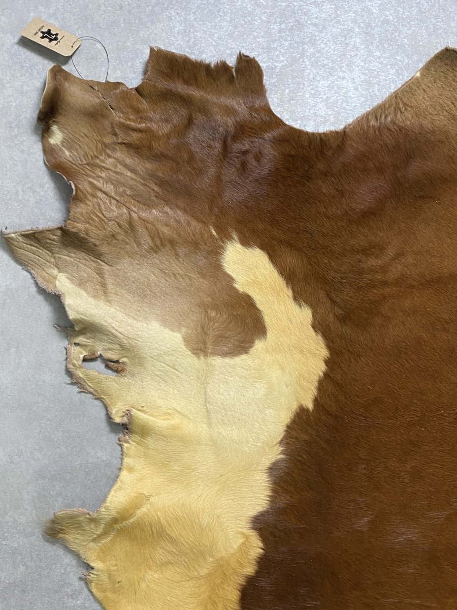 画像2: 牛 ヘアーカウ　柄あり　ベージュ×茶 (2)