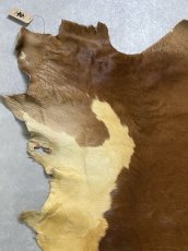 画像2: 牛 ヘアーカウ　柄あり　ベージュ×茶 (2)