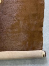 画像5: 牛 ヘアーカウ　柄あり　ベージュ×茶 (5)