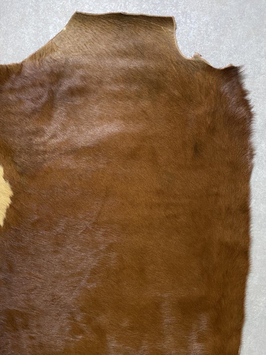 画像3: 牛 ヘアーカウ　柄あり　ベージュ×茶 (3)