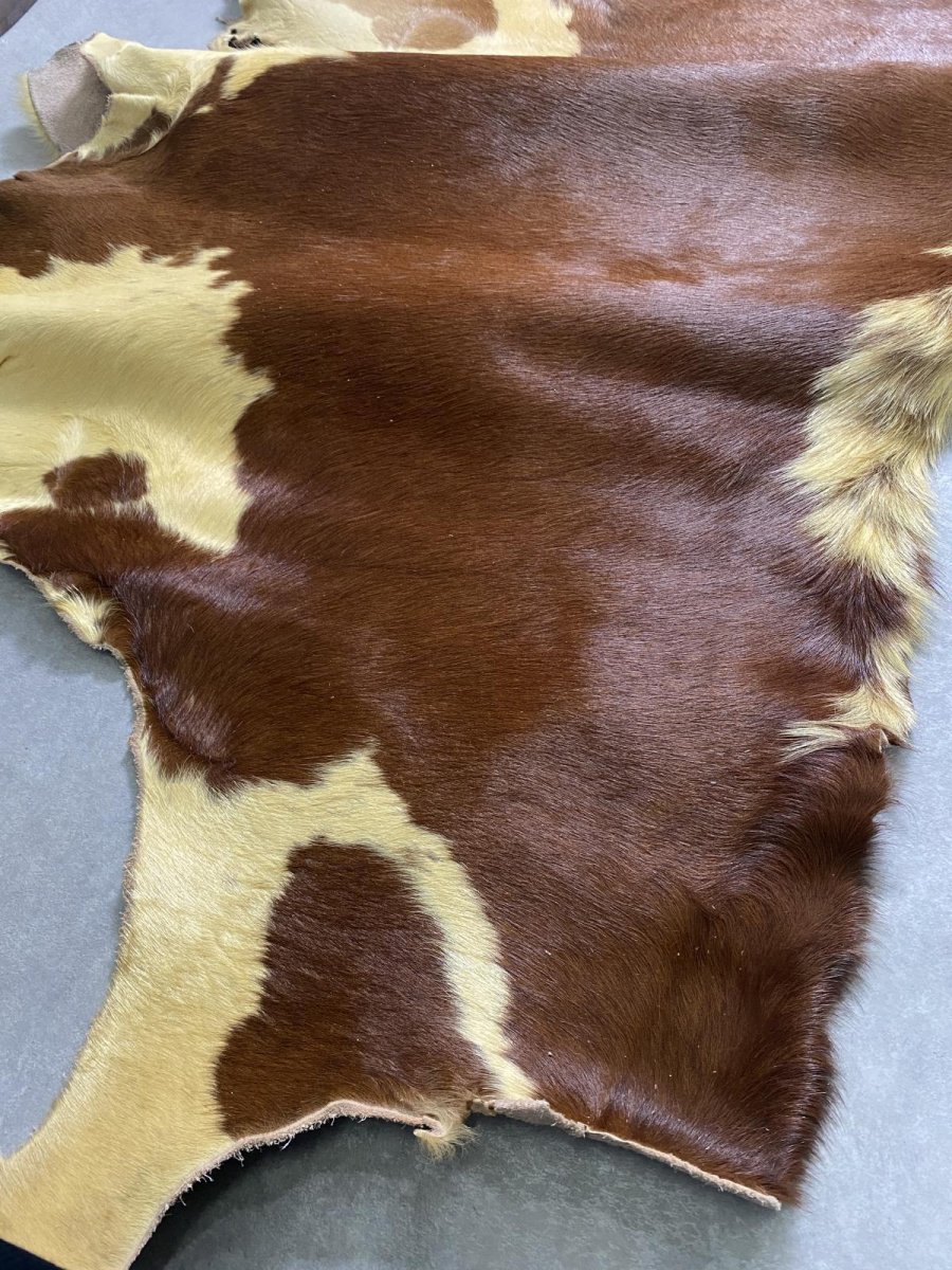 画像6: 牛 ヘアーカウ　柄あり　ベージュ×茶 (6)