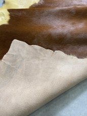 画像10: 牛 ヘアーカウ　柄あり　ベージュ×茶 (10)