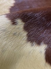 画像8: 牛 ヘアーカウ　柄あり　ベージュ×茶 (8)