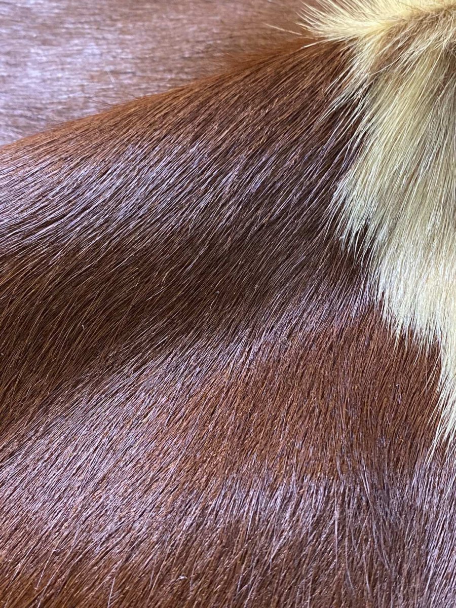 画像9: 牛 ヘアーカウ　柄あり　ベージュ×茶 (9)