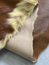 画像7: 牛 ヘアーカウ　柄あり　ベージュ×茶 (7)