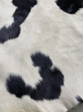 画像3: 牛  ヘアカウ　ナチュラル　ホルスタイン　毛皮　 (3)