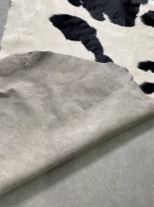 画像10: 牛  ヘアカウ　ナチュラル　ホルスタイン　毛皮　 (10)