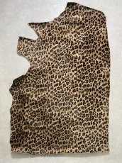 画像1: 牛 ヘアーカウ　ヒョウ大柄　牛毛皮 (1)