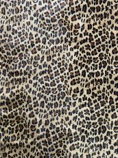 画像5: 牛 ヘアーカウ　ヒョウ大柄　牛毛皮 (5)
