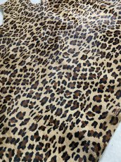 画像3: 牛 ヘアーカウ　ヒョウ大柄　牛毛皮 (3)