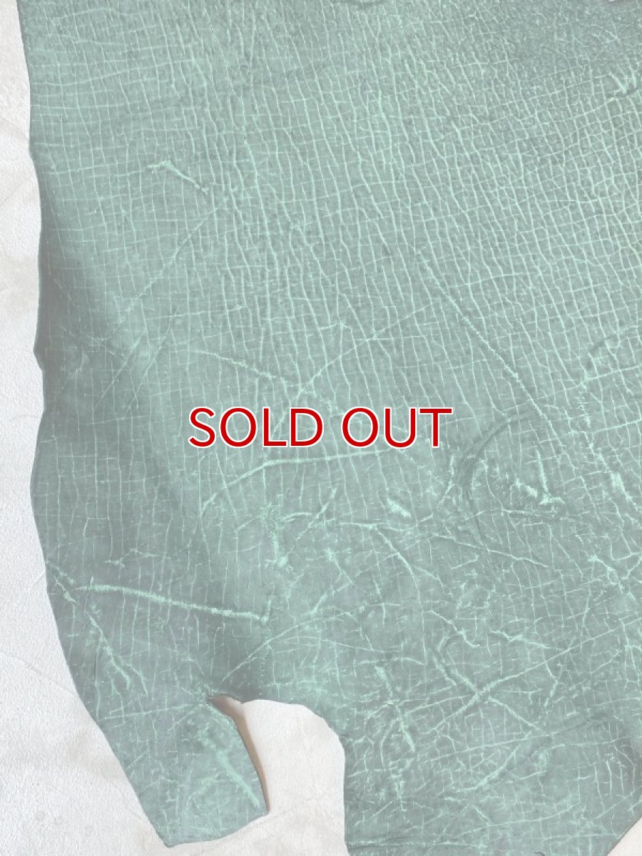 画像6: ヒポポタマス　カバ革　グリーン　ヒポレザー　かば革 (6)