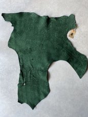 画像1: ヒポポタマス　カバ革　グリーン　ヒポレザー　かば革 (1)