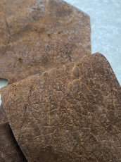 画像7: ヒポポタマス　カバ革　ブラウン　ヒポレザー　かば革 ハギレ (7)