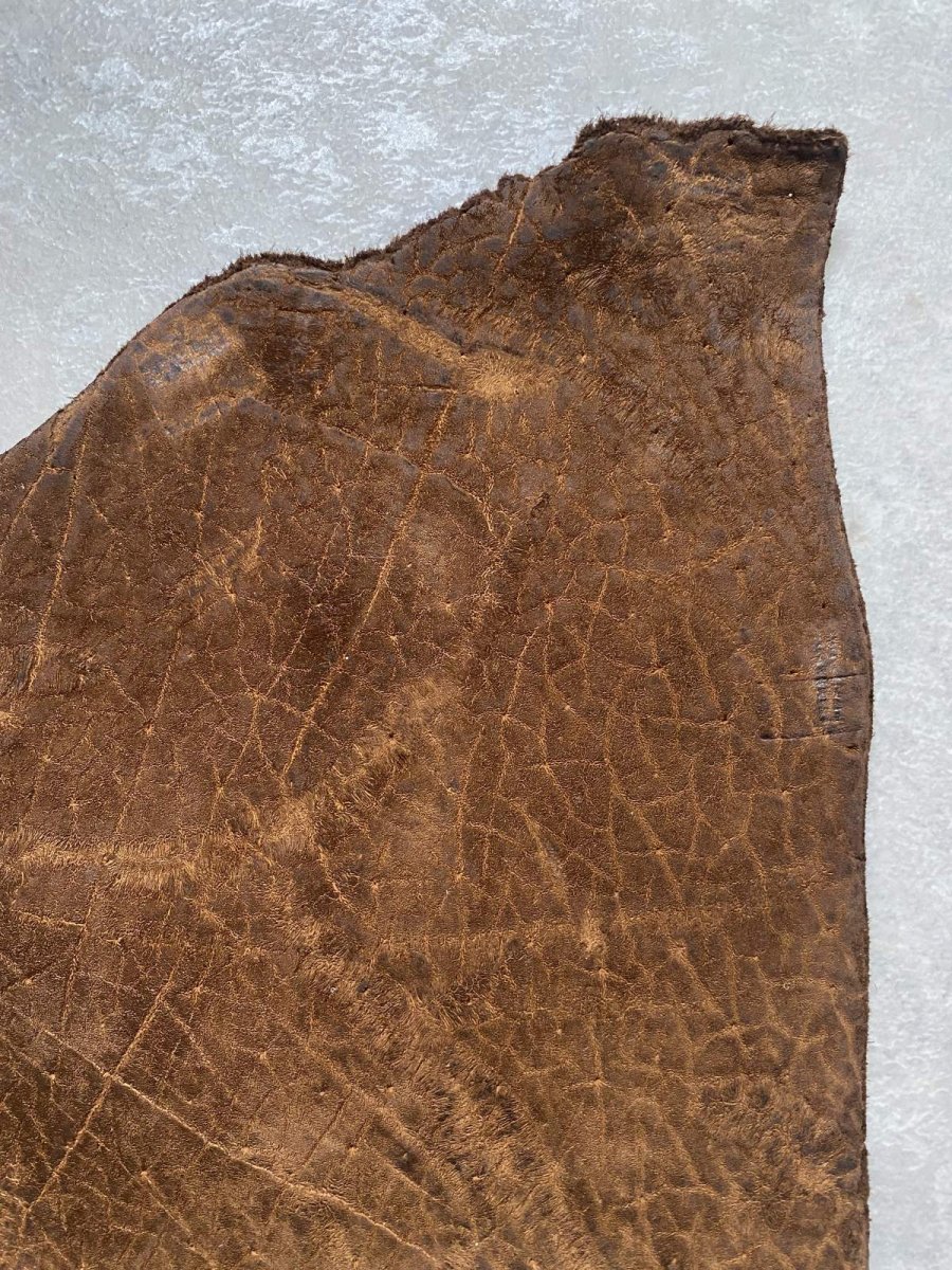 画像5: ヒポポタマス　カバ革　ブラウン　ヒポレザー　かば革 ハギレ (5)