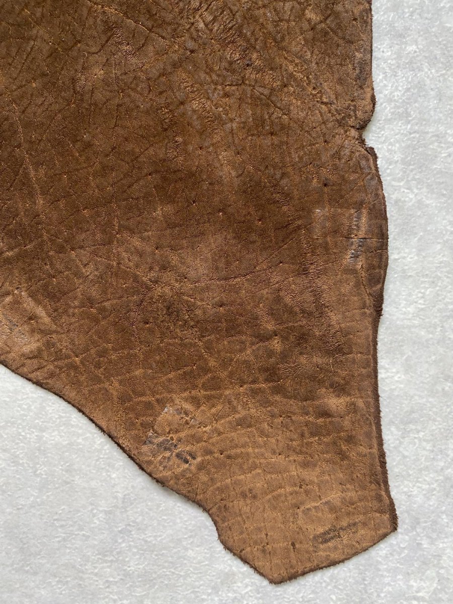 画像6: ヒポポタマス　カバ革　ブラウン　ヒポレザー　かば革 ハギレ (6)