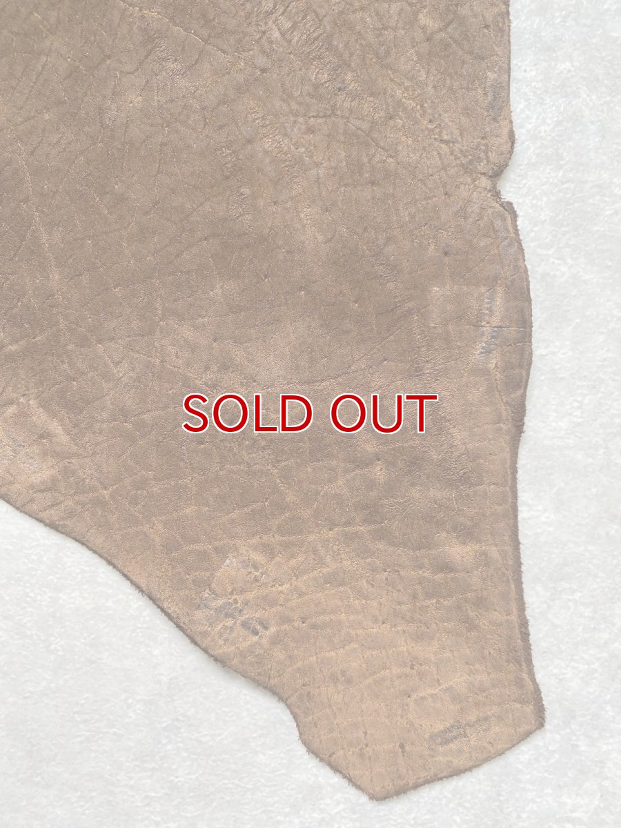 画像6: ヒポポタマス　カバ革　ブラウン　ヒポレザー　かば革 ハギレ (6)