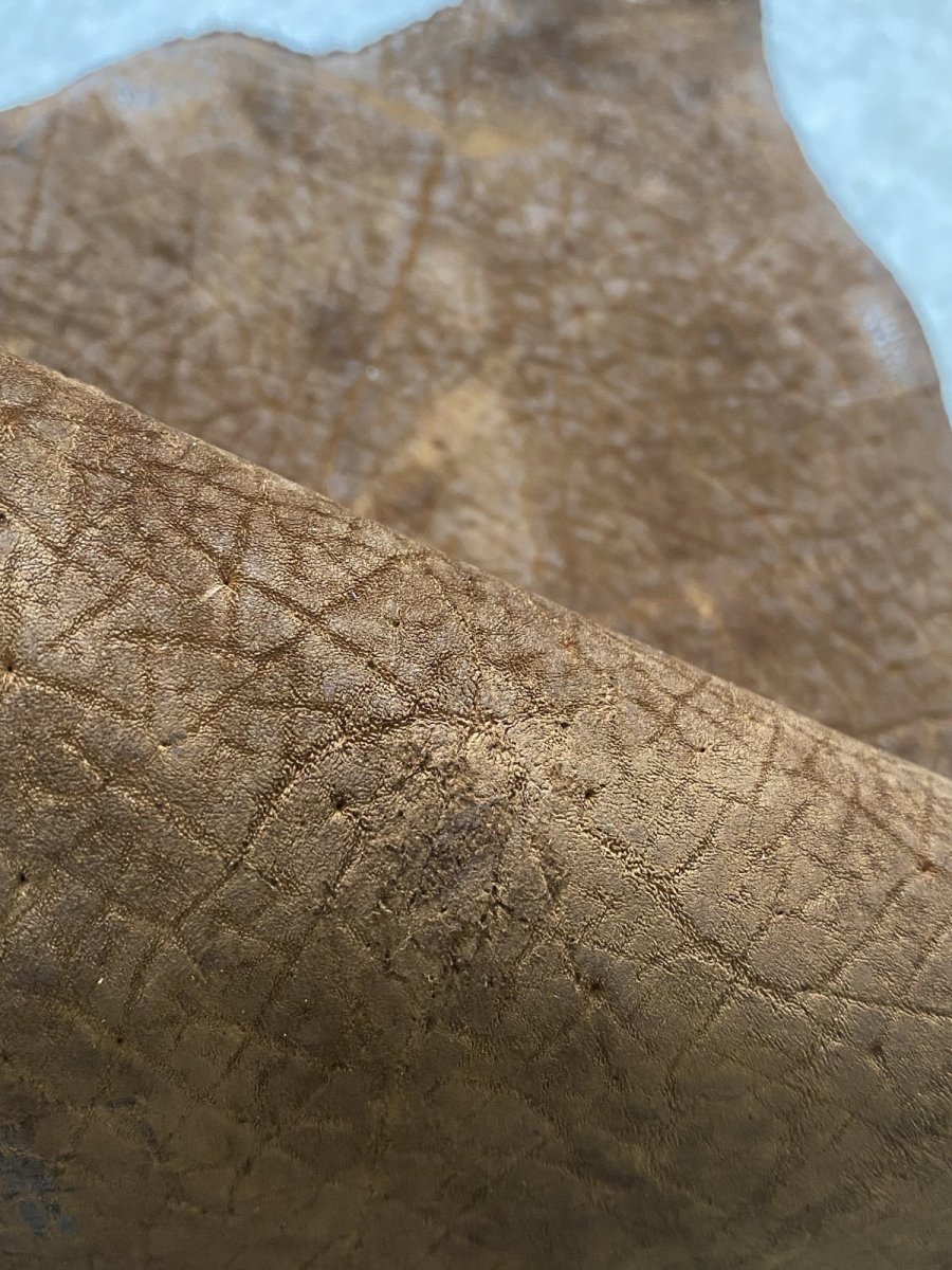 画像7: ヒポポタマス　カバ革　ブラウン　ヒポレザー　かば革 ハギレ (7)