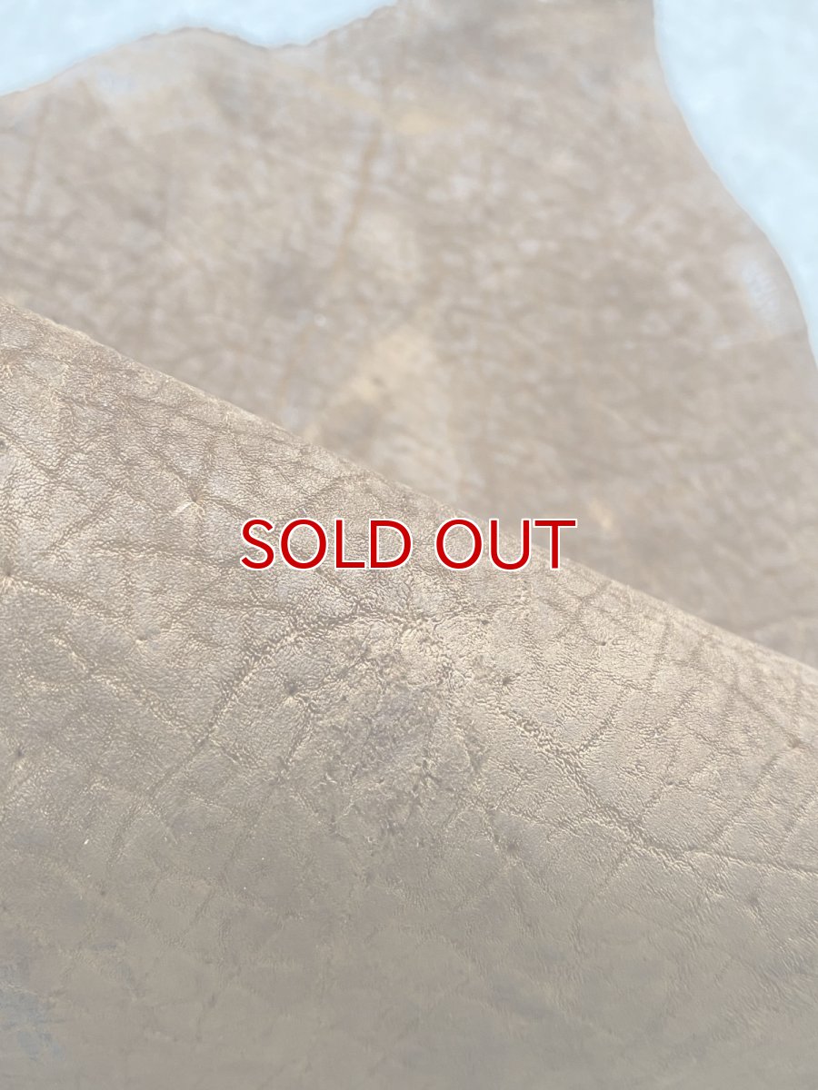 画像7: ヒポポタマス　カバ革　ブラウン　ヒポレザー　かば革 ハギレ (7)