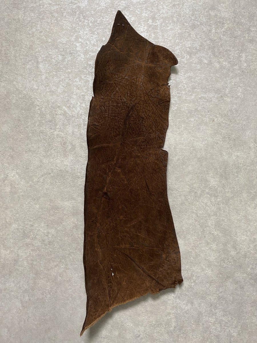 画像1: ヒポポタマス　カバ革　ブラウン　ヒポレザー　かば革 ハギレ (1)