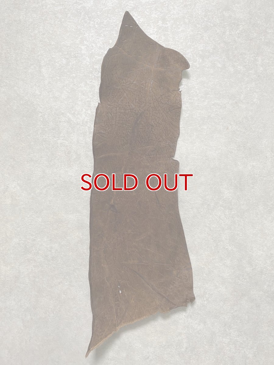 画像1: ヒポポタマス　カバ革　ブラウン　ヒポレザー　かば革 ハギレ (1)