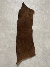 画像1: ヒポポタマス　カバ革　ブラウン　ヒポレザー　かば革 ハギレ (1)