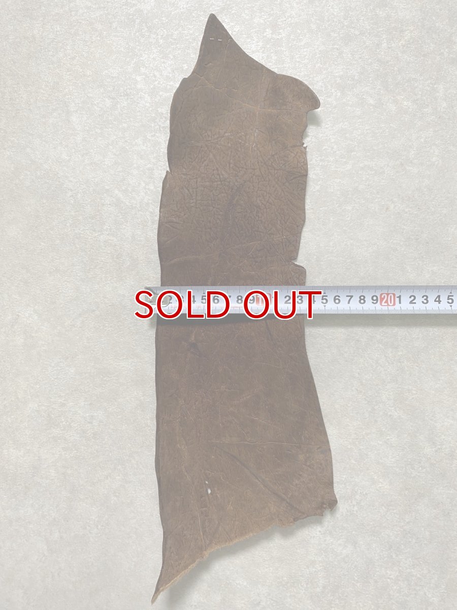 画像3: ヒポポタマス　カバ革　ブラウン　ヒポレザー　かば革 ハギレ (3)