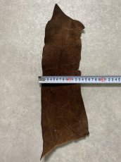 画像3: ヒポポタマス　カバ革　ブラウン　ヒポレザー　かば革 ハギレ (3)