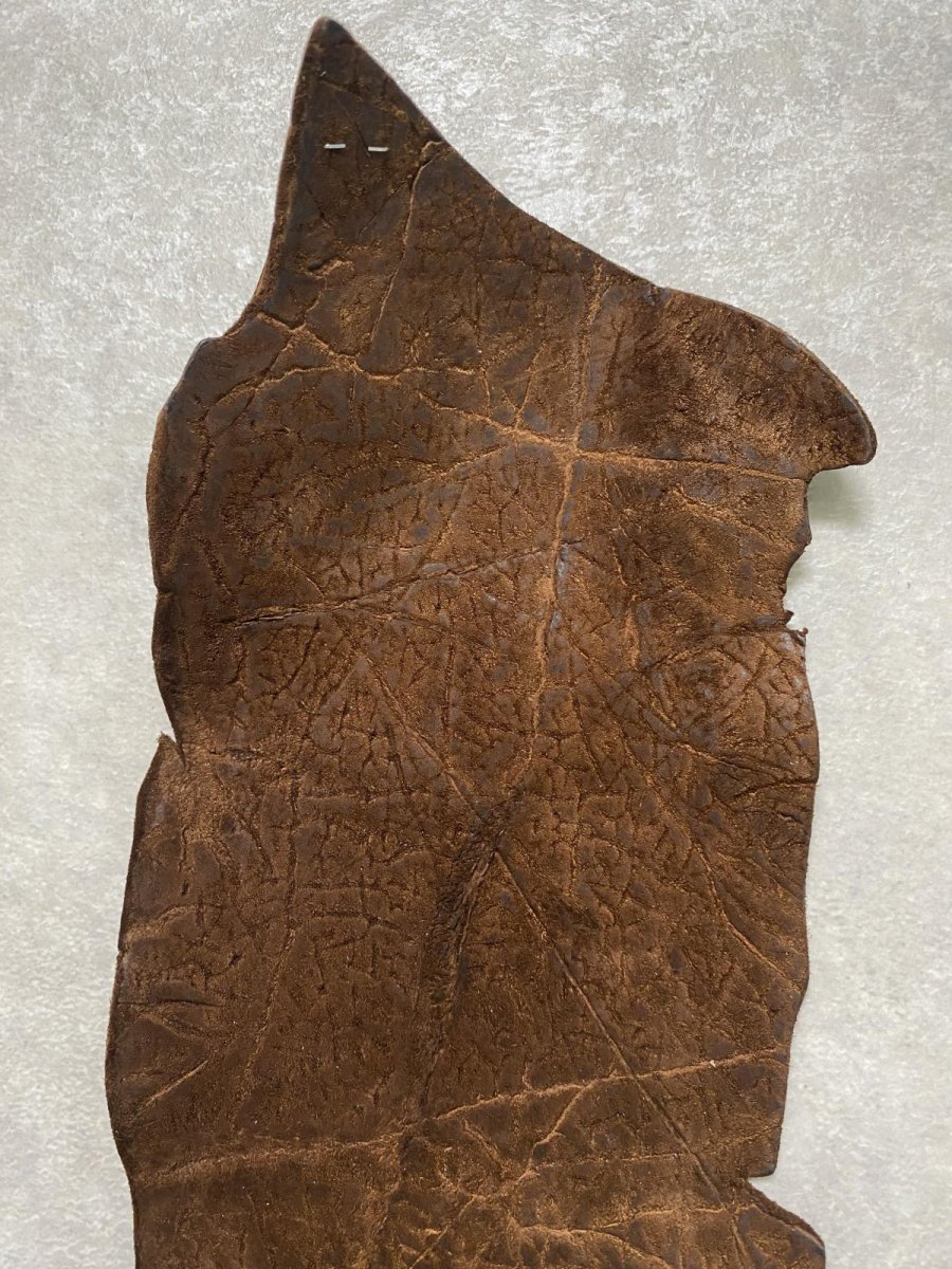 画像4: ヒポポタマス　カバ革　ブラウン　ヒポレザー　かば革 ハギレ (4)