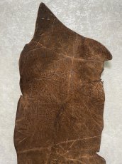 画像4: ヒポポタマス　カバ革　ブラウン　ヒポレザー　かば革 ハギレ (4)