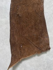 画像5: ヒポポタマス　カバ革　ブラウン　ヒポレザー　かば革 ハギレ (5)