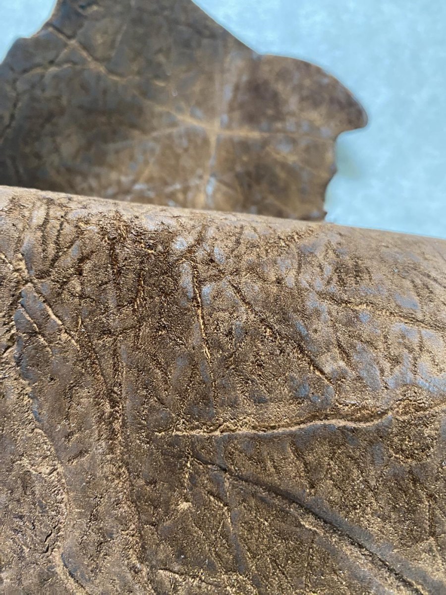 画像6: ヒポポタマス　カバ革　ブラウン　ヒポレザー　かば革 ハギレ (6)