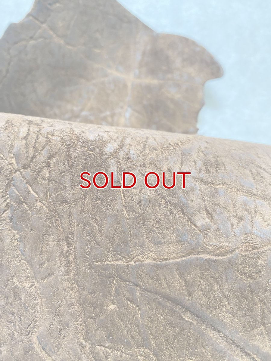 画像6: ヒポポタマス　カバ革　ブラウン　ヒポレザー　かば革 ハギレ (6)