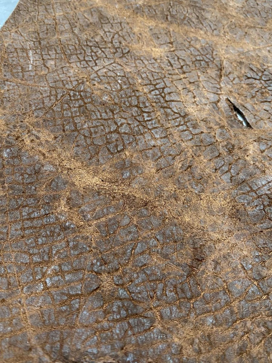 画像6: ヒポポタマス　カバ革　ブラウン　ヒポレザー　かば革　エキゾチックレザー (6)