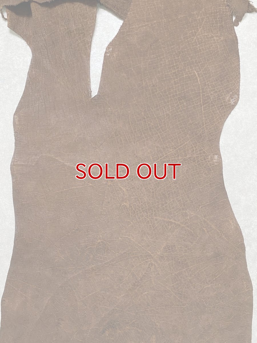 画像6: ヒポポタマス　カバ革　ブラウン　ヒポレザー　かば革　エキゾチックレザー (6)