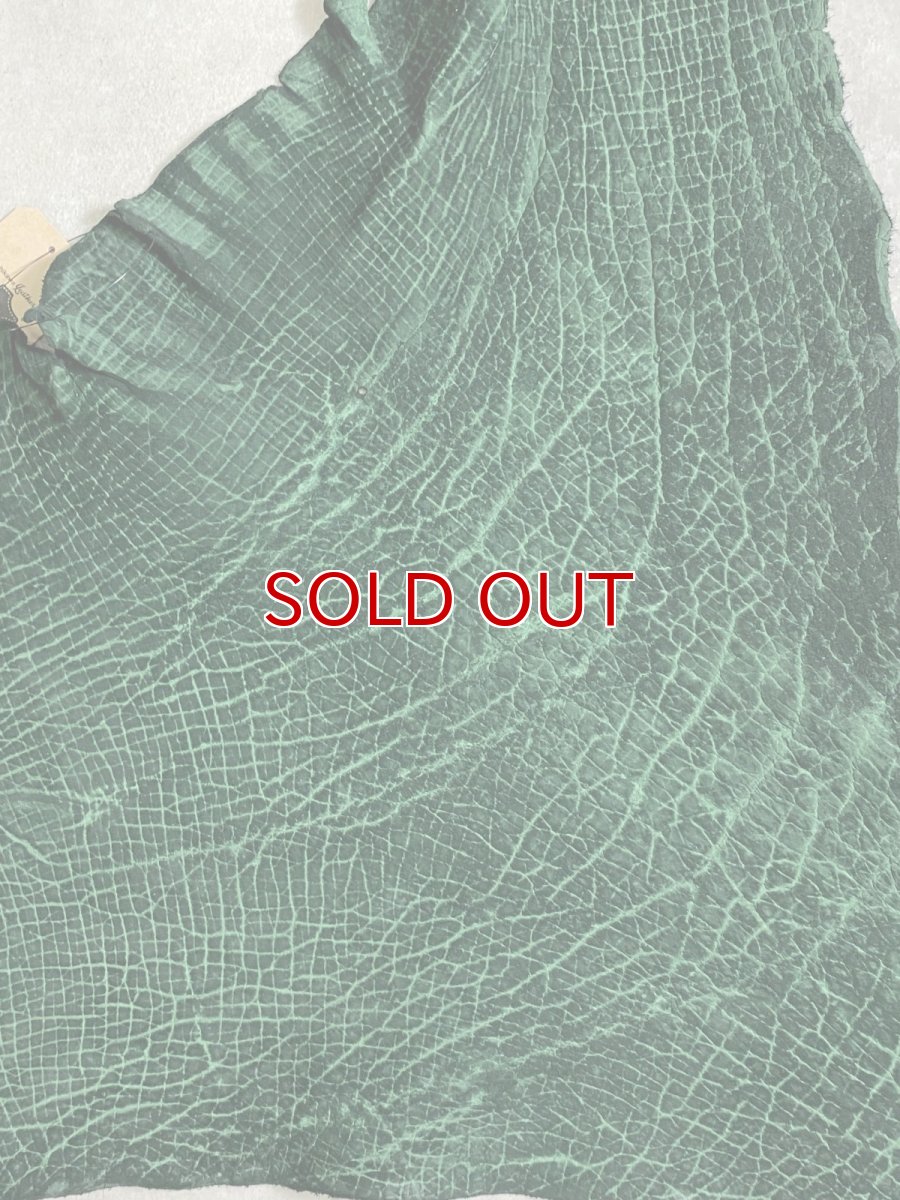 画像7: ヒポポタマス　カバ革　グリーン　ヒポレザー　かば革 (7)