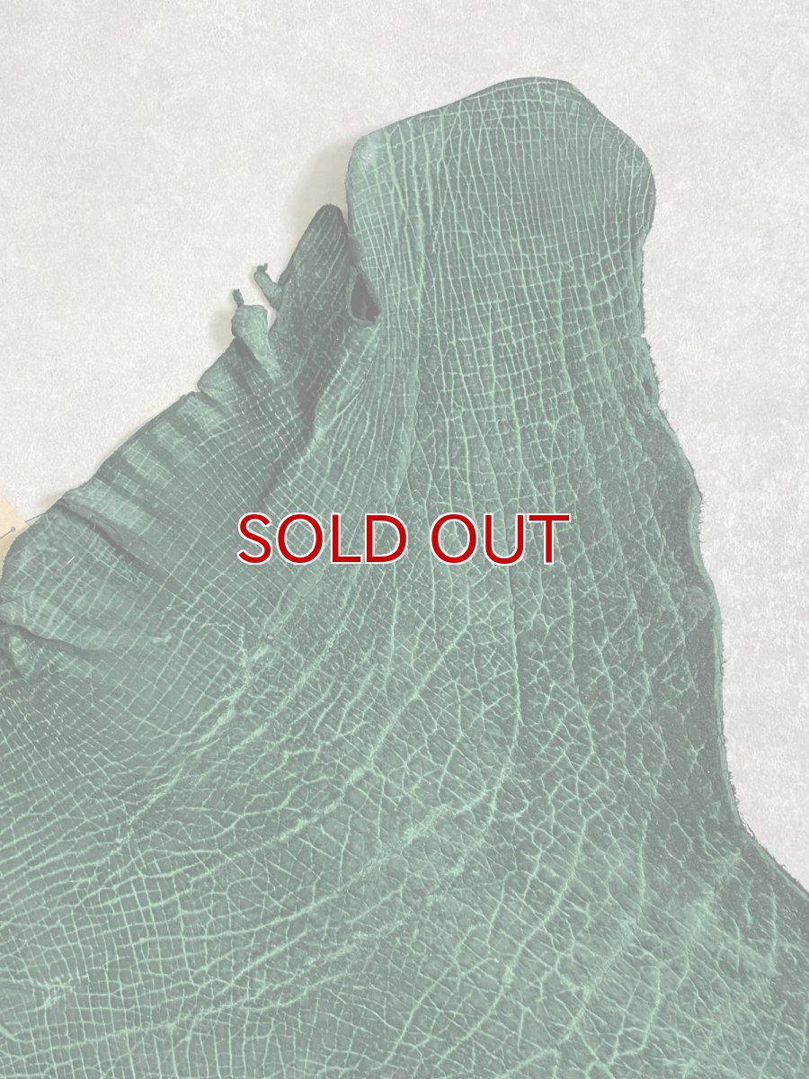 画像4: ヒポポタマス　カバ革　グリーン　ヒポレザー　かば革 (4)