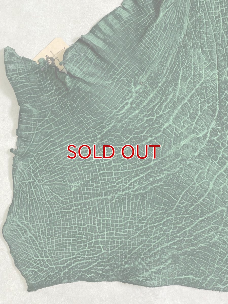 画像2: ヒポポタマス　カバ革　グリーン　ヒポレザー　かば革 (2)