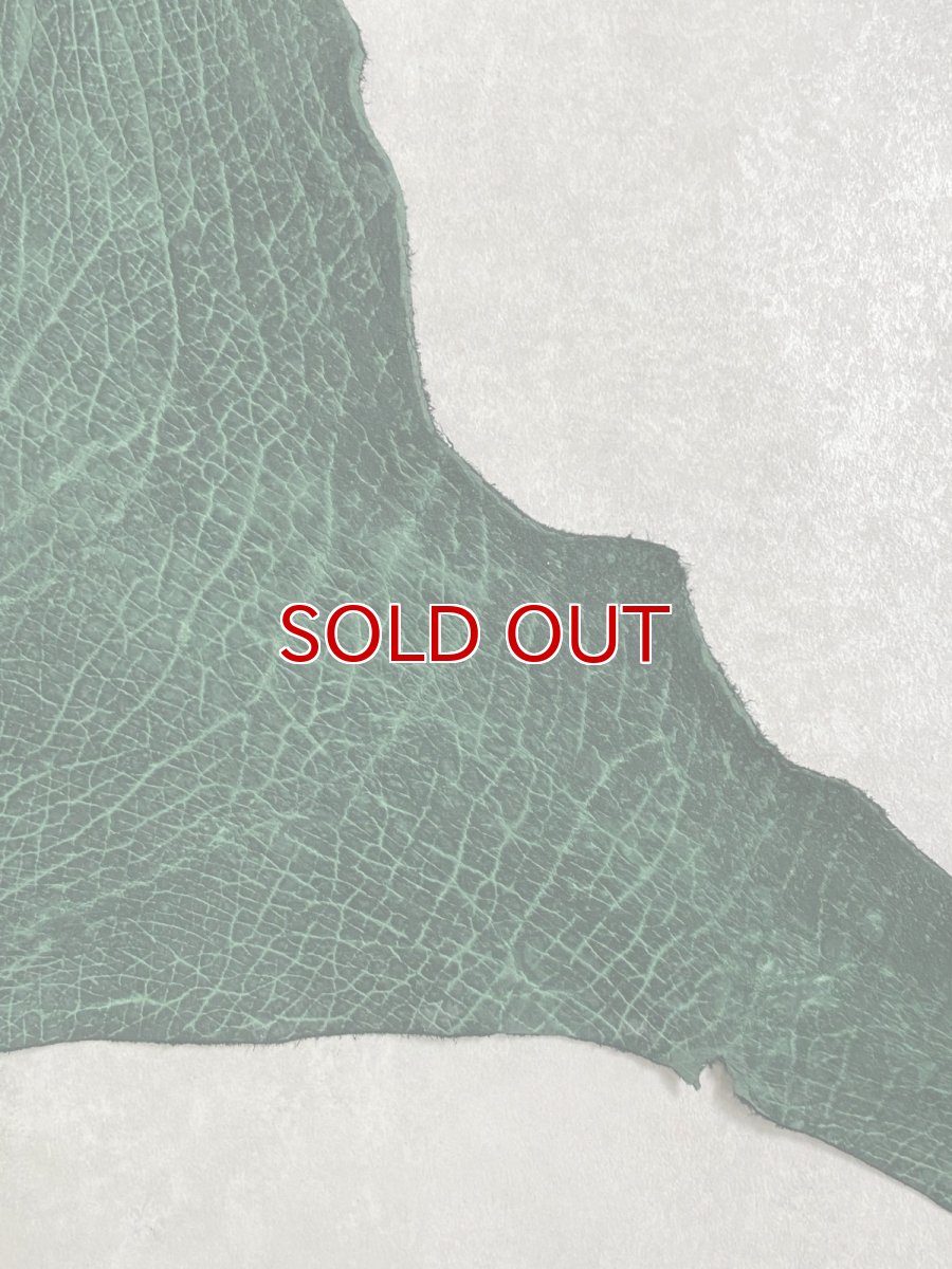 画像5: ヒポポタマス　カバ革　グリーン　ヒポレザー　かば革 (5)