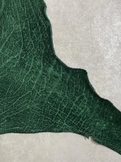 画像5: ヒポポタマス　カバ革　グリーン　ヒポレザー　かば革 (5)