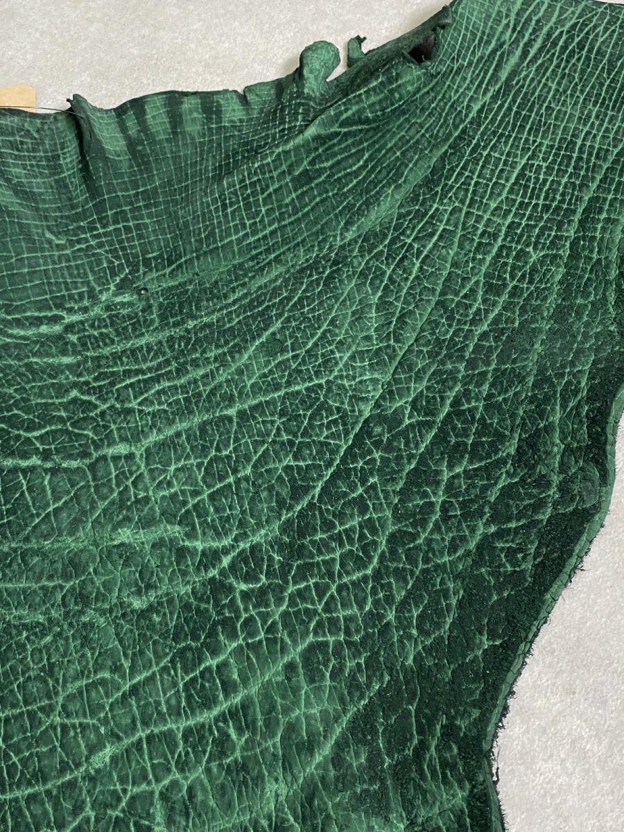 画像3: ヒポポタマス　カバ革　グリーン　ヒポレザー　かば革 (3)