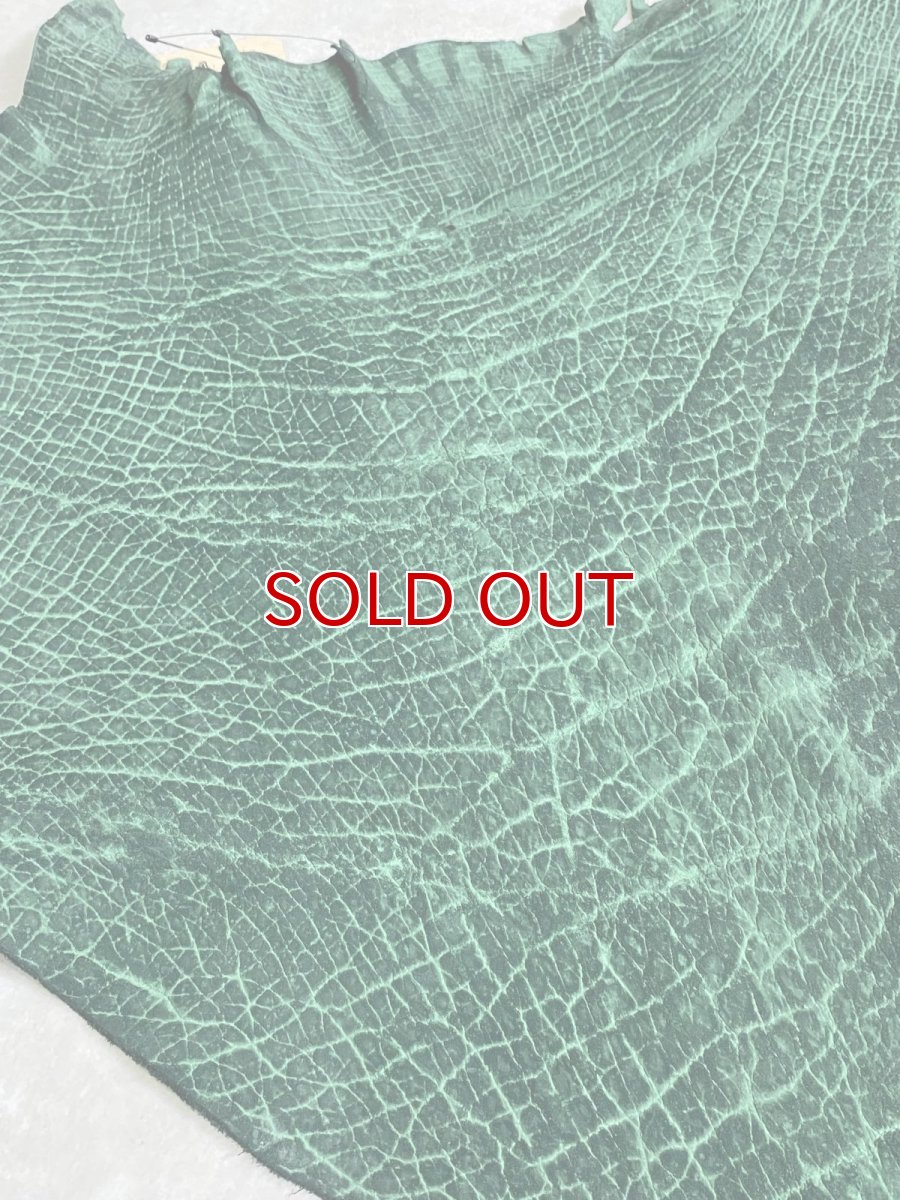 画像6: ヒポポタマス　カバ革　グリーン　ヒポレザー　かば革 (6)