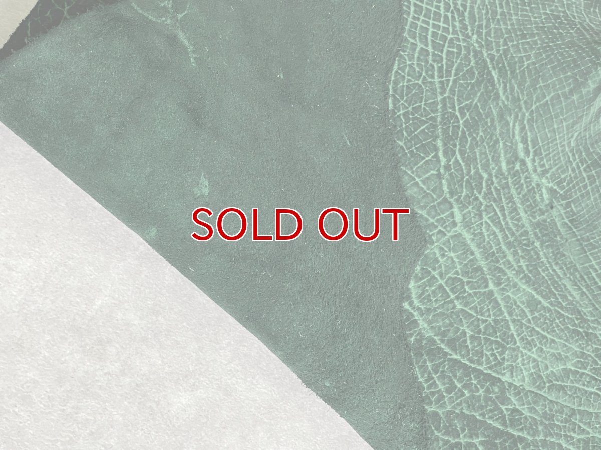 画像10: ヒポポタマス　カバ革　グリーン　ヒポレザー　かば革 (10)