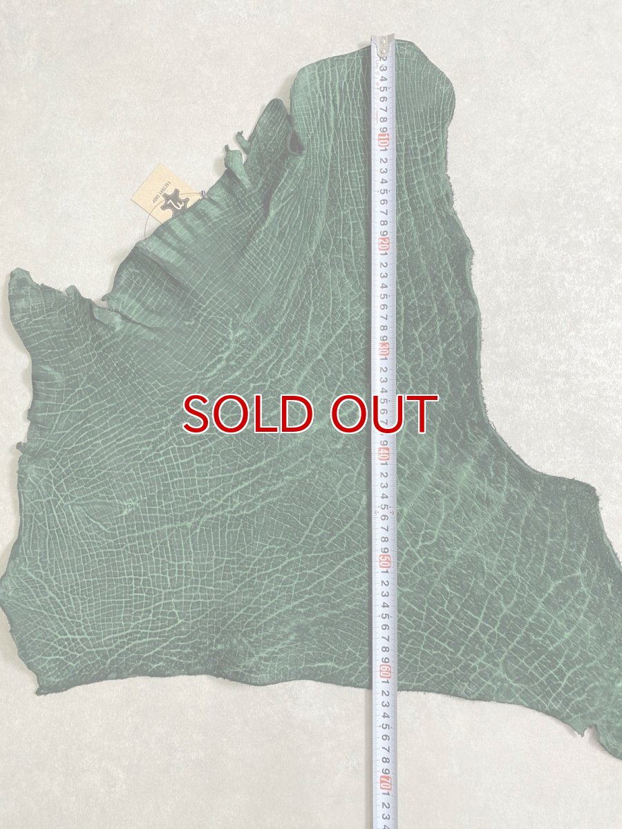 画像9: ヒポポタマス　カバ革　グリーン　ヒポレザー　かば革 (9)