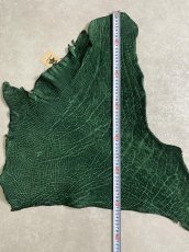 画像9: ヒポポタマス　カバ革　グリーン　ヒポレザー　かば革 (9)