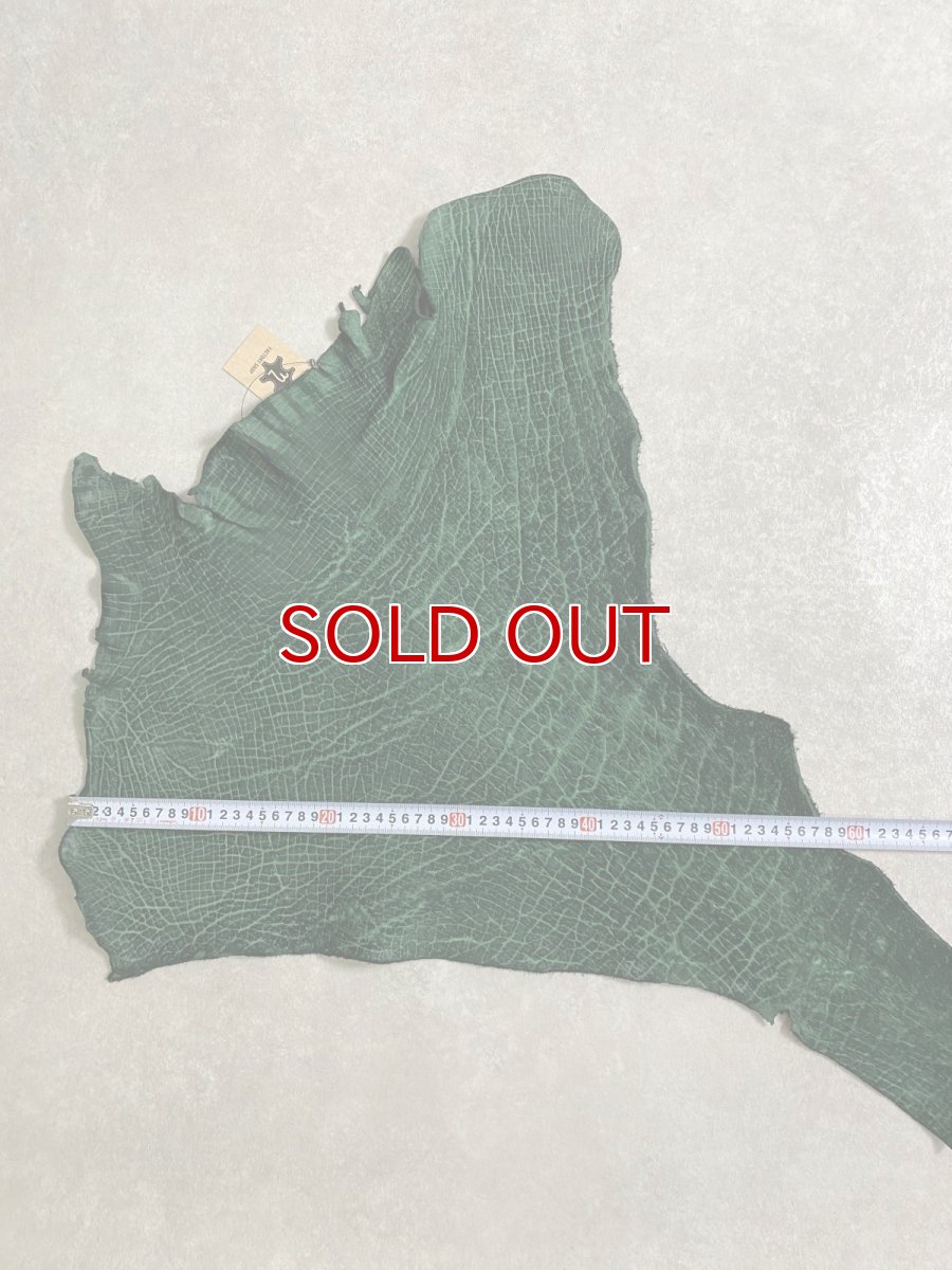 画像8: ヒポポタマス　カバ革　グリーン　ヒポレザー　かば革 (8)