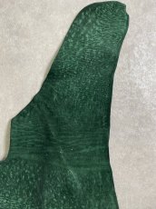 画像4: ヒポポタマス　カバ革　グリーン　ヒポレザー　かば革 (4)