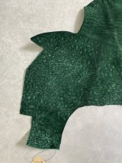 画像2: ヒポポタマス　カバ革　グリーン　ヒポレザー　かば革 (2)